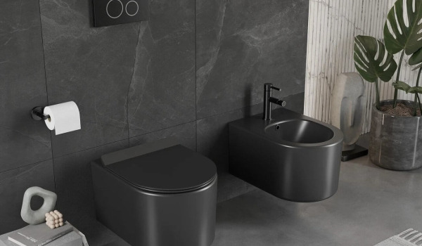 Guide to Toilet Composites: How to Choose the Best Model for Your Home?